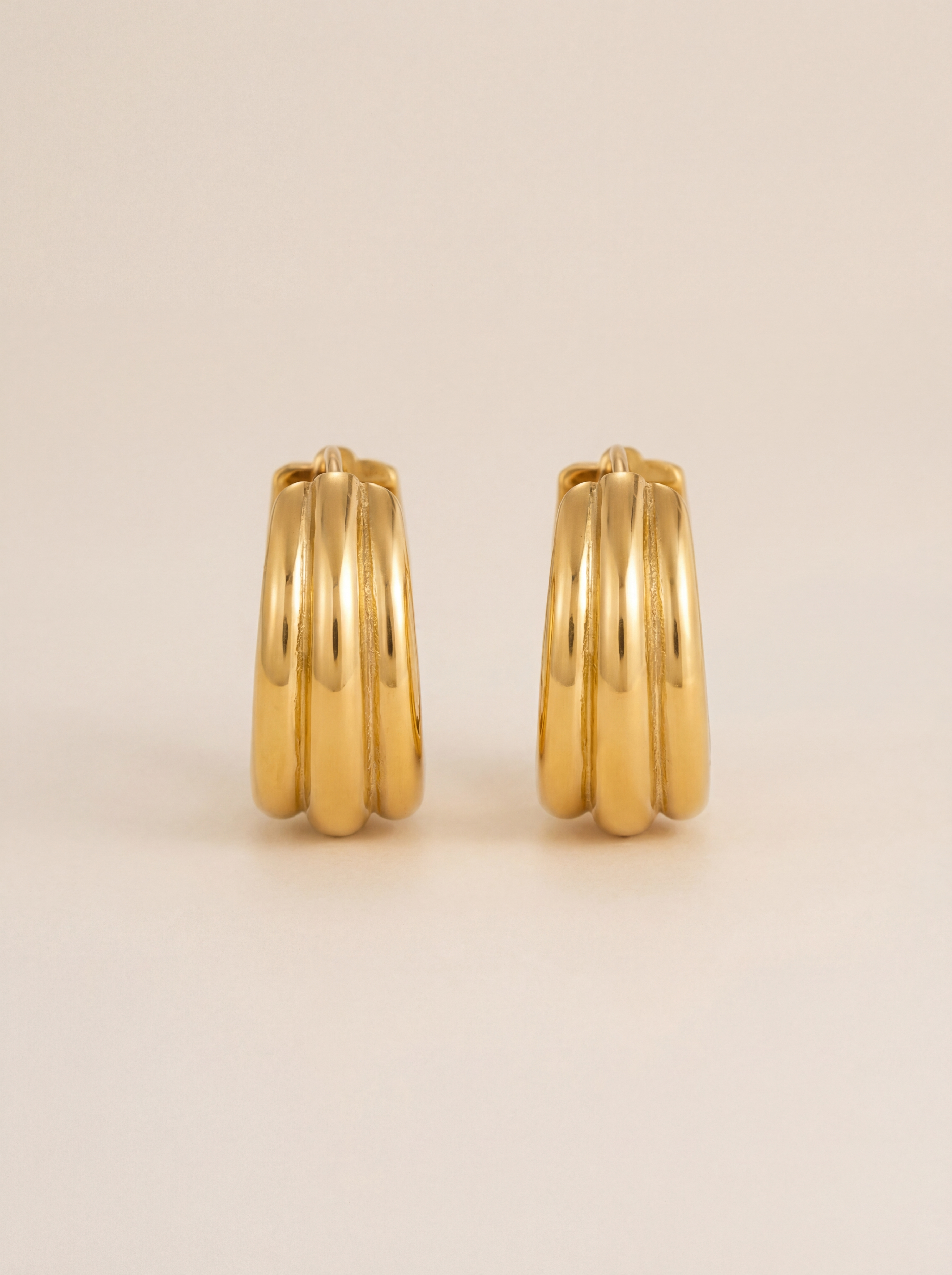 Bijou Nuit Earrings